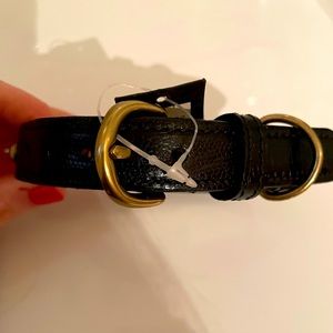 Banana Republic Leather Dog Collar- Size Small- 16”- NWT